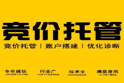 百度竞价代运营的五大成功案例：激发广告创意的火花